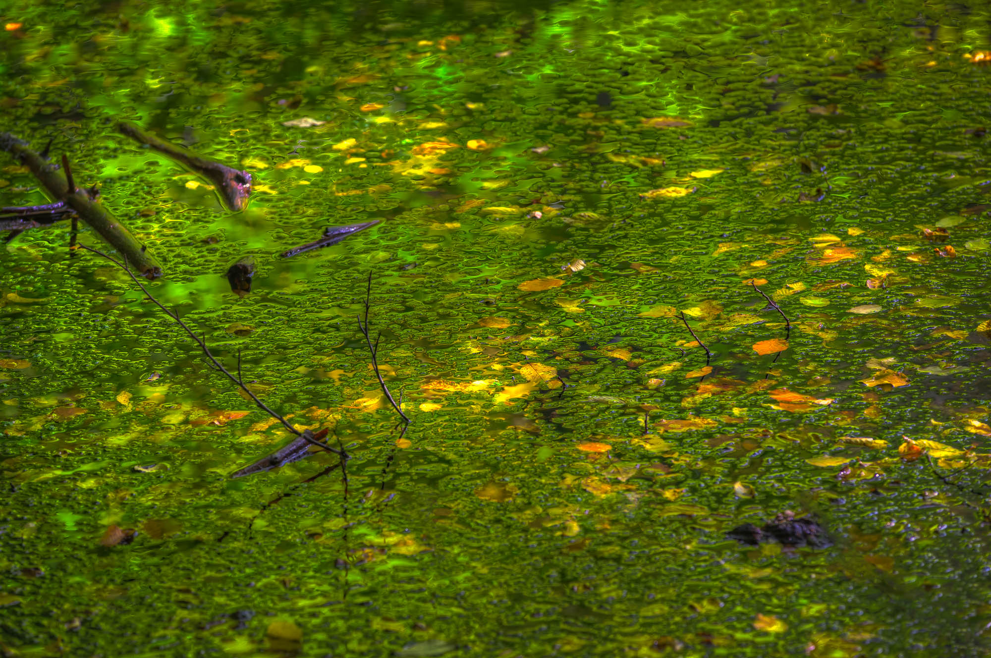 Abstract fall impression